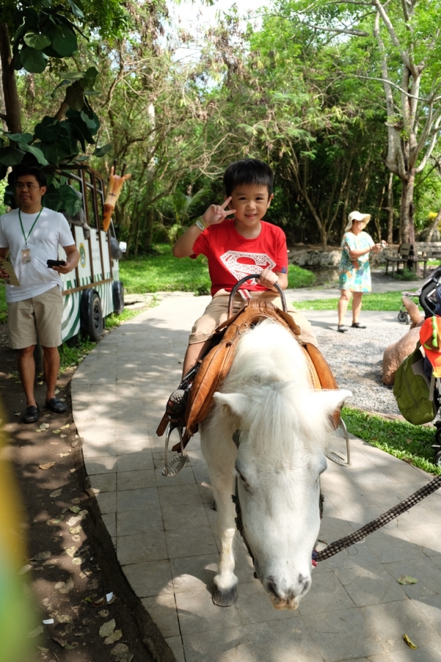 Wesley naik kuda di deket arena Petting Zoo